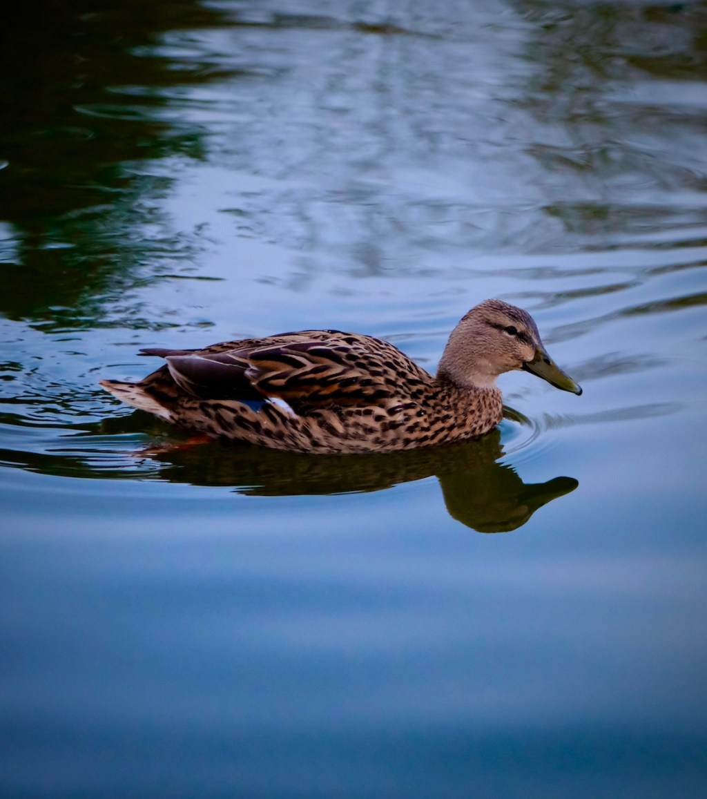 Düsseldorf, part 1.